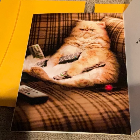 🌸3 for $18🌸 Avanti Funny Humorous Cat Greeting Cards, Set of Two - Picture 2 of 5